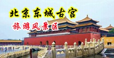 操屄男女网站中国北京-东城古宫旅游风景区