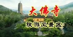 黄片三视频操逼中国浙江-新昌大佛寺旅游风景区